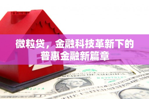 方山微粒贷，金融科技革新下的普惠金融新篇章