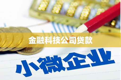 方山金融科技公司贷款