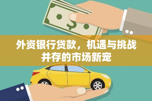 方山外资银行贷款，机遇与挑战并存的市场新宠