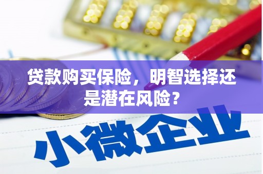方山贷款购买保险，明智选择还是潜在风险？