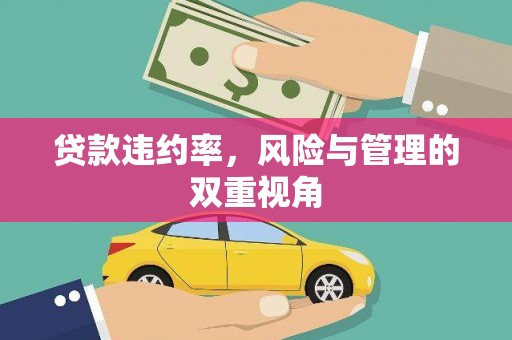 方山贷款违约率，风险与管理的双重视角