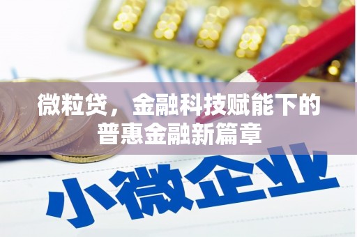 方山微粒贷，金融科技赋能下的普惠金融新篇章