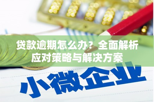 方山贷款逾期怎么办？全面解析应对策略与解决方案