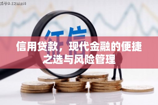 方山信用贷款，现代金融的便捷之选与风险管理
