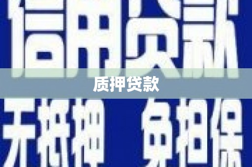 方山质押贷款