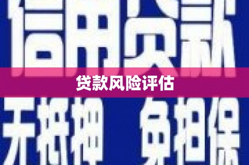 方山贷款风险评估