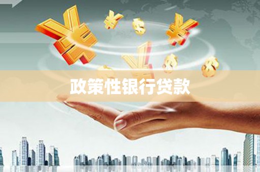方山政策性银行贷款