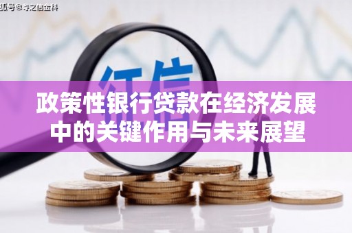 方山政策性银行贷款在经济发展中的关键作用与未来展望