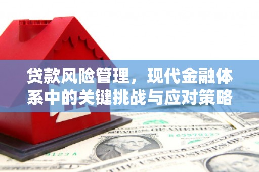 方山贷款风险管理，现代金融体系中的关键挑战与应对策略