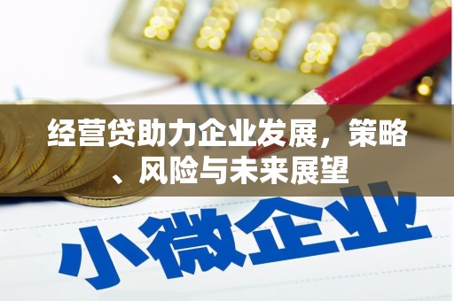 方山经营贷助力企业发展，策略、风险与未来展望
