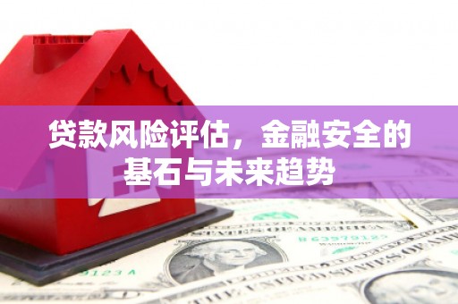 方山贷款风险评估，金融安全的基石与未来趋势