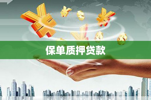 方山保单质押贷款