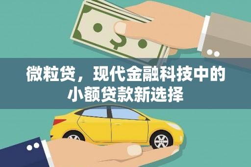 方山微粒贷，现代金融科技中的小额贷款新选择