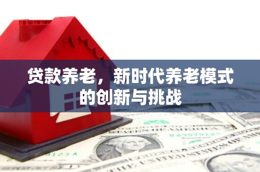 方山贷款养老，新时代养老模式的创新与挑战