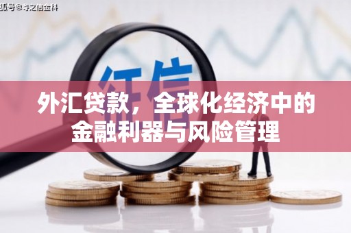 方山外汇贷款，全球化经济中的金融利器与风险管理