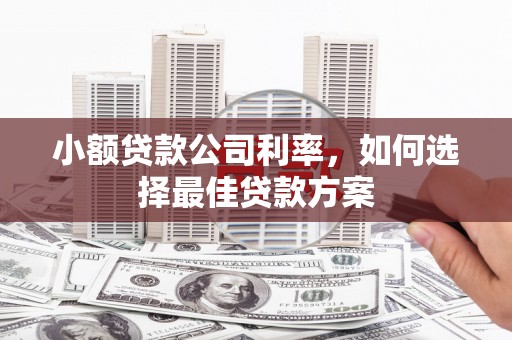 方山小额贷款公司利率，如何选择最佳贷款方案