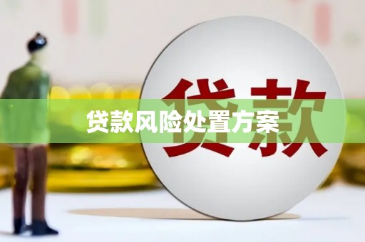 方山贷款风险处置方案