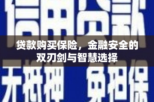 方山贷款购买保险，金融安全的双刃剑与智慧选择