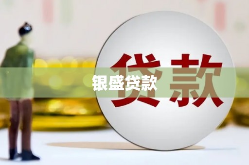 方山银盛贷款
