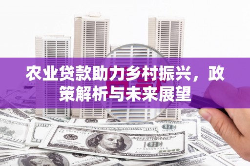 方山农业贷款助力乡村振兴，政策解析与未来展望