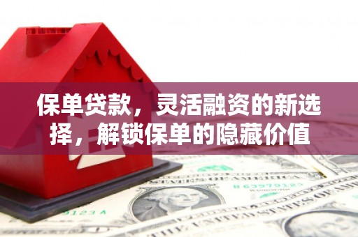 方山保单贷款，灵活融资的新选择，解锁保单的隐藏价值