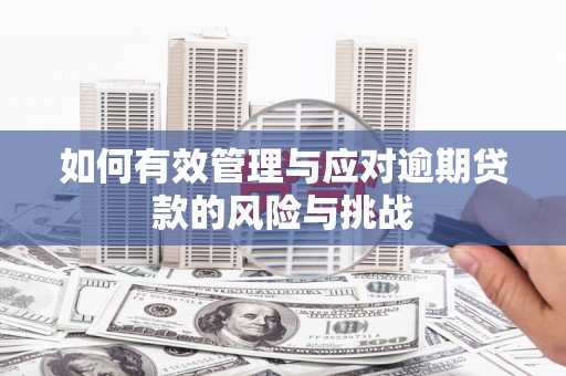 方山如何有效管理与应对逾期贷款的风险与挑战