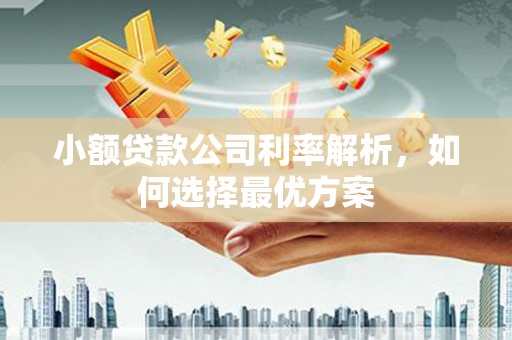 方山小额贷款公司利率解析，如何选择最优方案