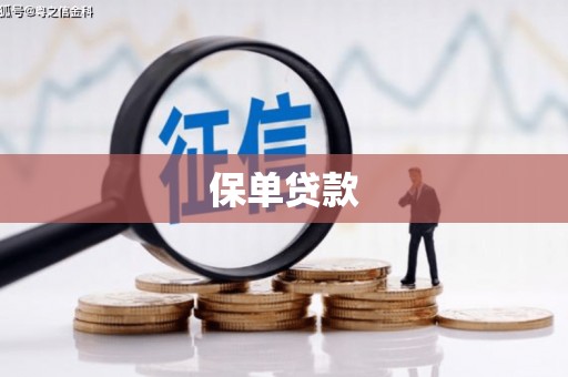 方山保单贷款