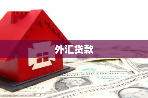 方山外汇贷款