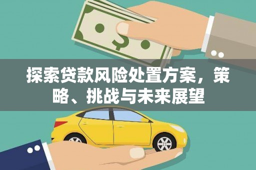 方山探索贷款风险处置方案，策略、挑战与未来展望