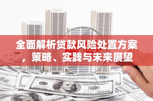 方山全面解析贷款风险处置方案，策略、实践与未来展望