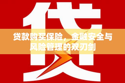 方山贷款购买保险，金融安全与风险管理的双刃剑