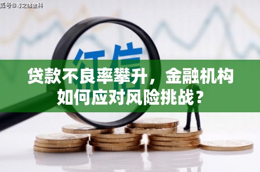 方山贷款不良率攀升，金融机构如何应对风险挑战？