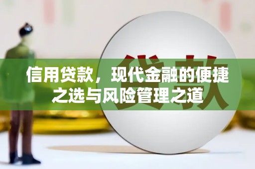 方山信用贷款，现代金融的便捷之选与风险管理之道