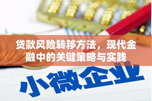 方山贷款风险转移方法，现代金融中的关键策略与实践