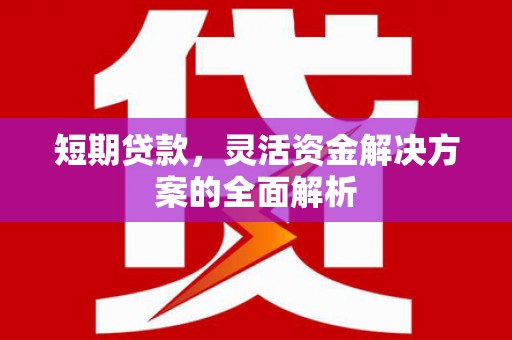 方山短期贷款，灵活资金解决方案的全面解析