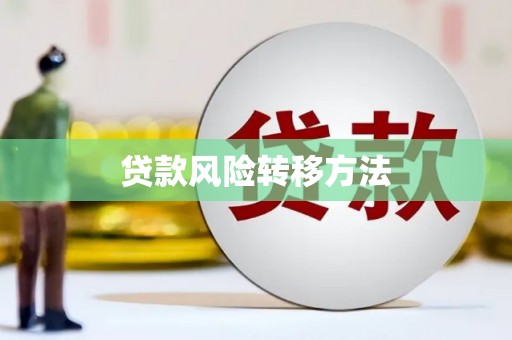 方山贷款风险转移方法