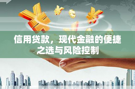 方山信用贷款，现代金融的便捷之选与风险控制