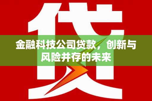 方山金融科技公司贷款，创新与风险并存的未来