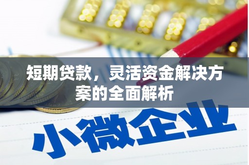 方山短期贷款，灵活资金解决方案的全面解析
