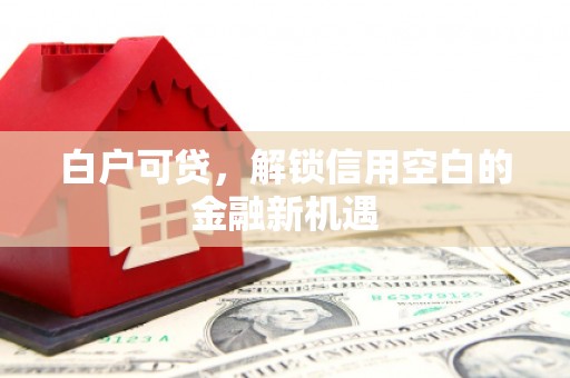 方山白户可贷，解锁信用空白的金融新机遇