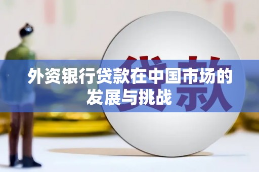 方山外资银行贷款在中国市场的发展与挑战