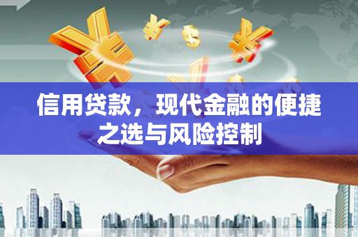 方山信用贷款，现代金融的便捷之选与风险控制