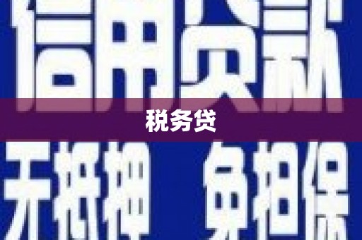方山税务贷