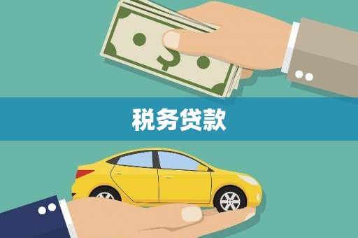 方山税务贷款