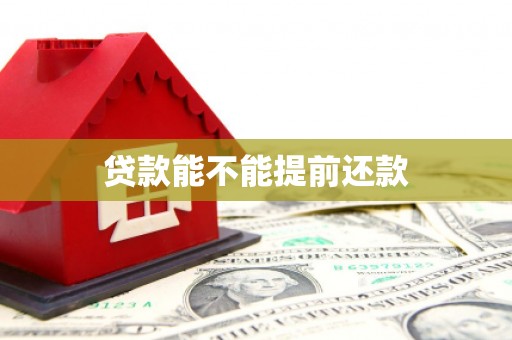 方山贷款能不能提前还款