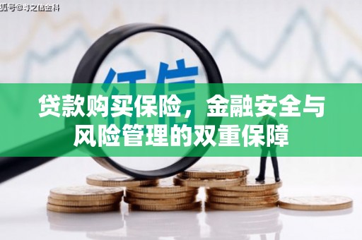 方山贷款购买保险，金融安全与风险管理的双重保障