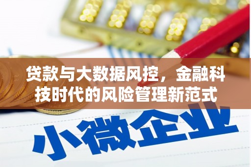 方山贷款与大数据风控，金融科技时代的风险管理新范式