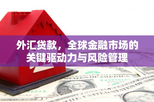 方山外汇贷款，全球金融市场的关键驱动力与风险管理