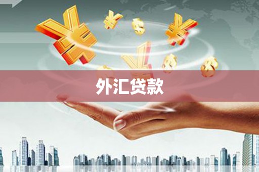 方山外汇贷款